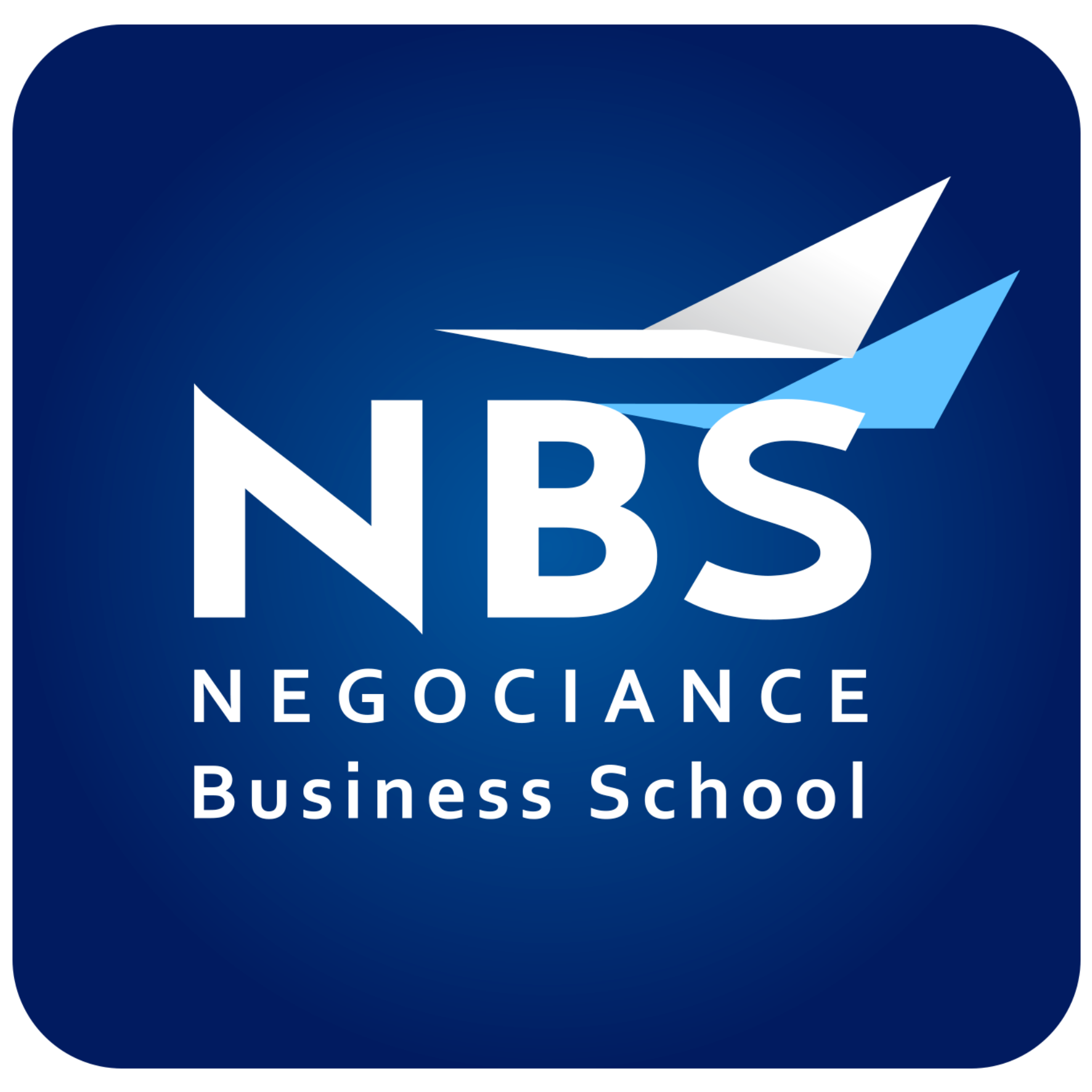 Logo-NBS-Ancien histoire nbs